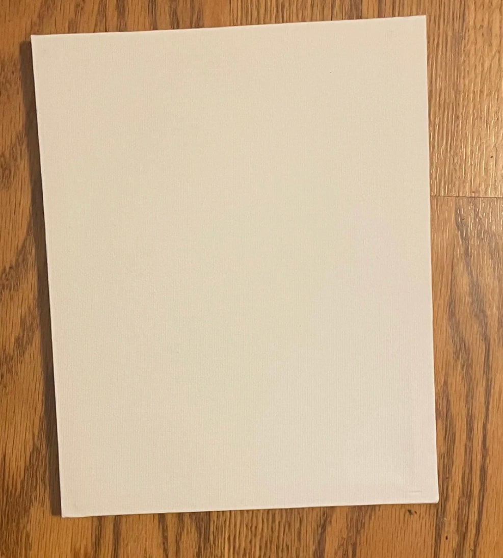 Adult Paint A Canvas